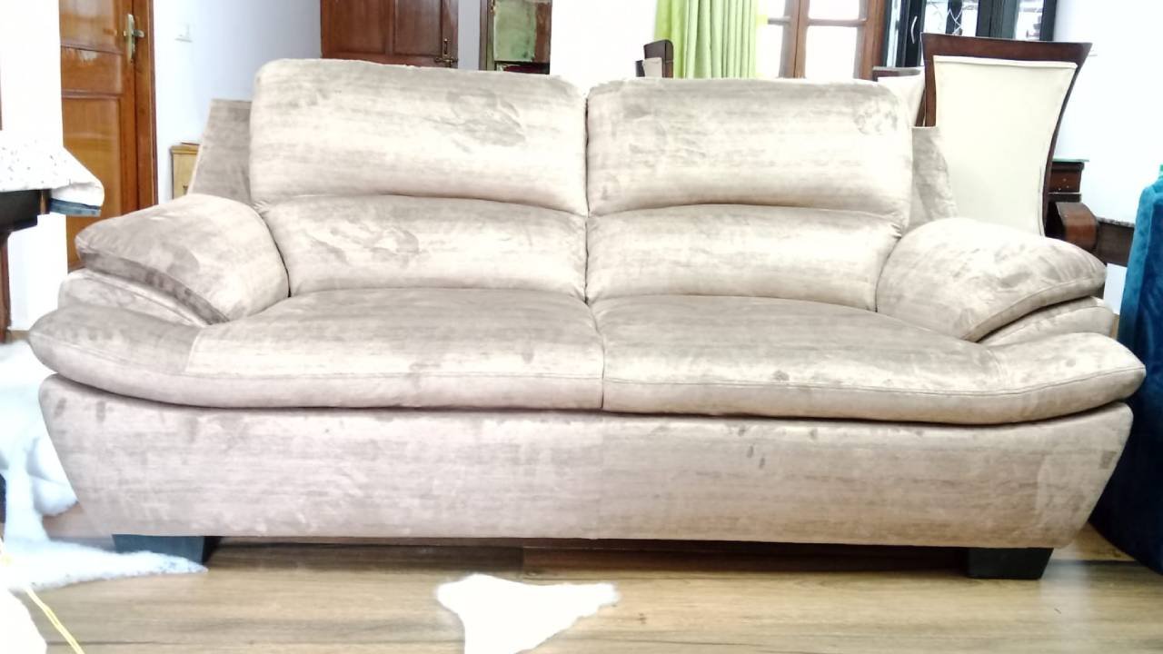 Hind Sofa Repair